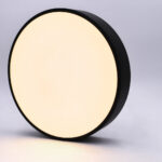 Mounted Roof LED Ceiling Light