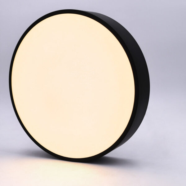 Mounted Roof LED Ceiling Light