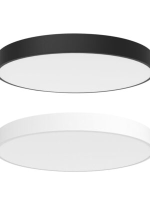 Mounted Roof LED Ceiling Light