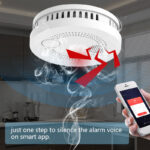Smoke Detector
