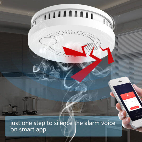 Smoke Detector